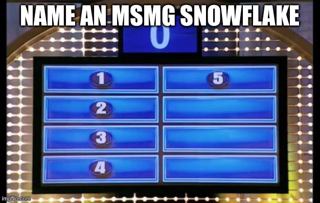 family feud | NAME AN MSMG SNOWFLAKE | image tagged in family feud | made w/ Imgflip meme maker