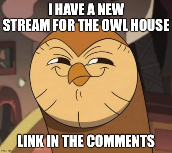 Yayyyyyyyy | I HAVE A NEW STREAM FOR THE OWL HOUSE; LINK IN THE COMMENTS | image tagged in hooty like | made w/ Imgflip meme maker