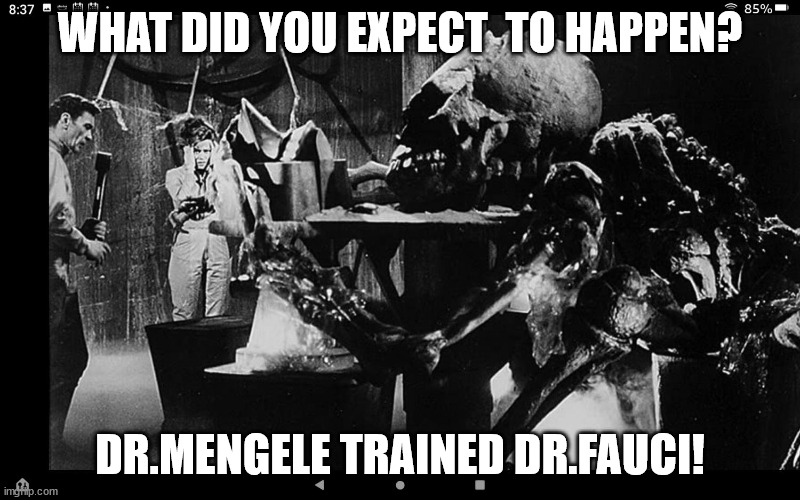 Making Monsters | WHAT DID YOU EXPECT  TO HAPPEN? DR.MENGELE TRAINED DR.FAUCI! | image tagged in doctor strange,dr fauci,genetics,frankenstein's monster | made w/ Imgflip meme maker