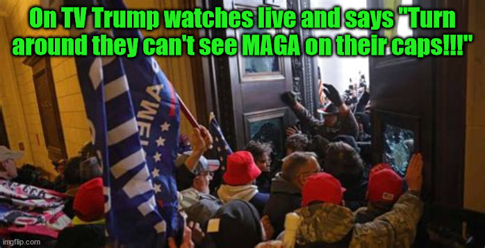 The Redcaps are coming... | On TV Trump watches live and says "Turn around they can't see MAGA on their caps!!!" | image tagged in 2021,jan 6th,red cap,freedom | made w/ Imgflip meme maker