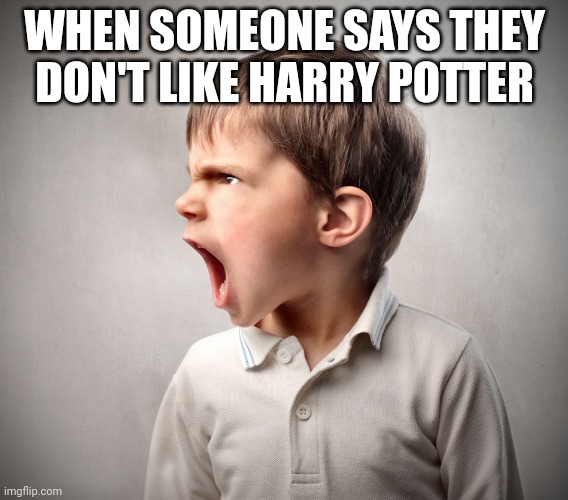The Life of a Bookworm | WHEN SOMEONE SAYS THEY DON'T LIKE HARRY POTTER | image tagged in harry potter,hilarious | made w/ Imgflip meme maker