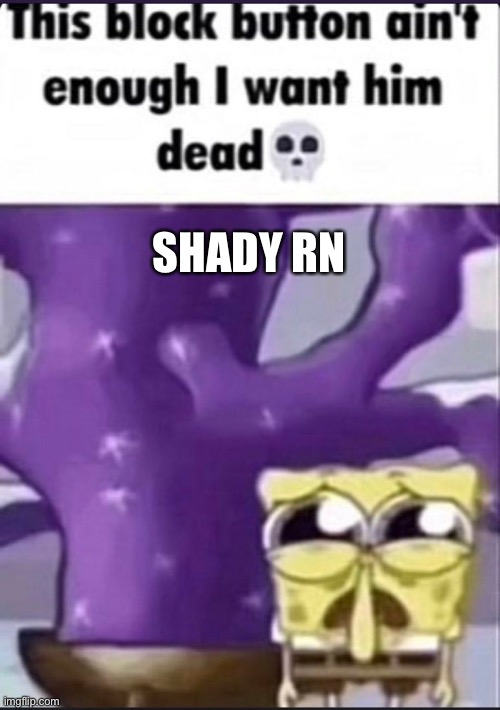 SHADY RN | image tagged in i want him dead | made w/ Imgflip meme maker