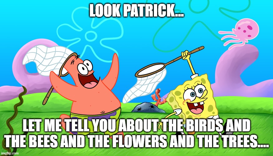 Jelly fishing, jelly fishing, rha, rha, rha! | LOOK PATRICK... LET ME TELL YOU ABOUT THE BIRDS AND THE BEES AND THE FLOWERS AND THE TREES.... | image tagged in birds and the bees,a thing called love,look milk and honey patrick,love ya too spongebob,careful love bites,love stings | made w/ Imgflip meme maker