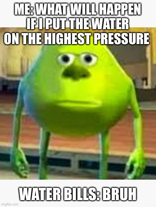 Does anyone do this or is it just me | ME: WHAT WILL HAPPEN IF I PUT THE WATER ON THE HIGHEST PRESSURE; WATER BILLS: BRUH | image tagged in mike wazowski | made w/ Imgflip meme maker