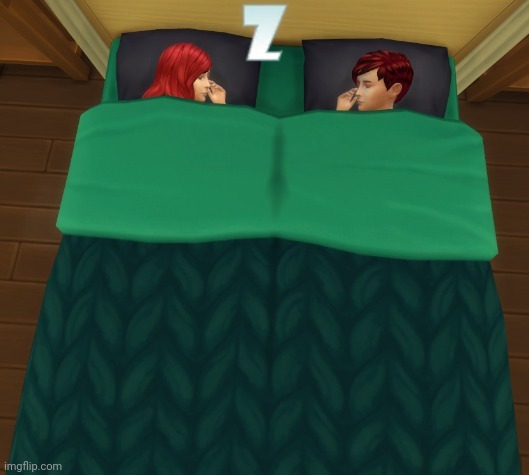 a | image tagged in sims 4 children sleeping together | made w/ Imgflip meme maker