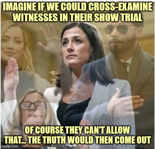You know it's a sham when they won't show you the whole testimony... |  IMAGINE IF WE COULD CROSS-EXAMINE WITNESSES IN THEIR SHOW TRIAL; OF COURSE THEY CAN'T ALLOW THAT... THE TRUTH WOULD THEN COME OUT | image tagged in lying,democrats | made w/ Imgflip meme maker