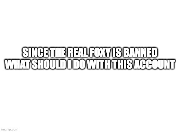 Blank White Template | SINCE THE REAL FOXY IS BANNED WHAT SHOULD I DO WITH THIS ACCOUNT | image tagged in blank white template | made w/ Imgflip meme maker