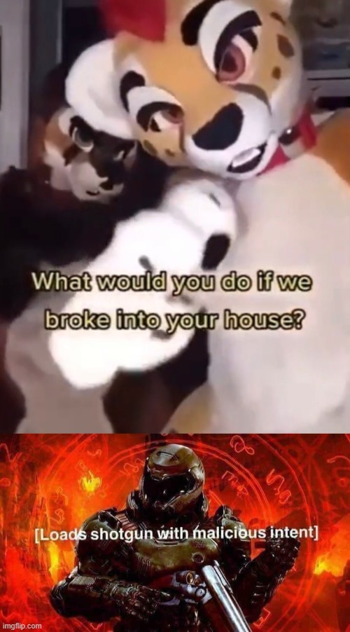 image tagged in what would you do if some fatherless furries broke into ur home,loads shotgun with malicious intent | made w/ Imgflip meme maker