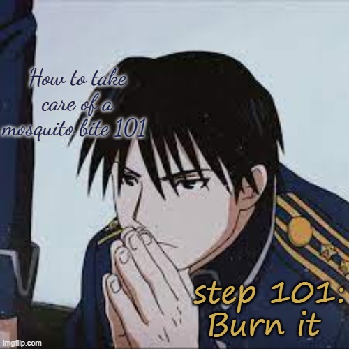 Mustang | How to take care of a mosquito bite 101; step 101: Burn it | image tagged in mustang | made w/ Imgflip meme maker