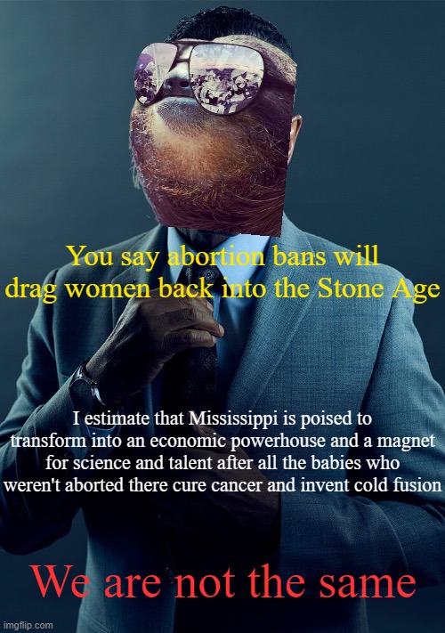 High Quality sloth opines on abortion bans Blank Meme Template