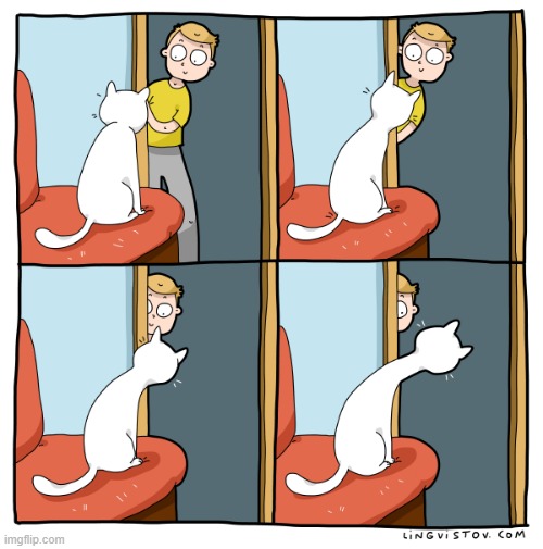 A Cats Way Of Thinking | image tagged in memes,comics,cats,hello there,i see you,im watching you | made w/ Imgflip meme maker