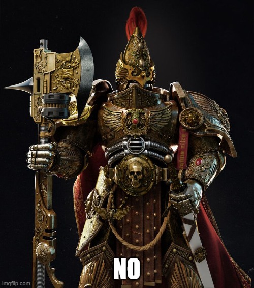 NO | image tagged in adeptus custodes | made w/ Imgflip meme maker