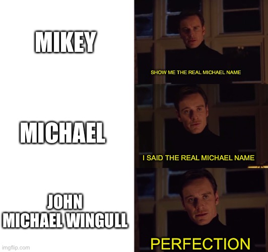 perfection | MIKEY; SHOW ME THE REAL MICHAEL NAME; MICHAEL; I SAID THE REAL MICHAEL NAME; JOHN MICHAEL WINGULL; PERFECTION | image tagged in perfection | made w/ Imgflip meme maker