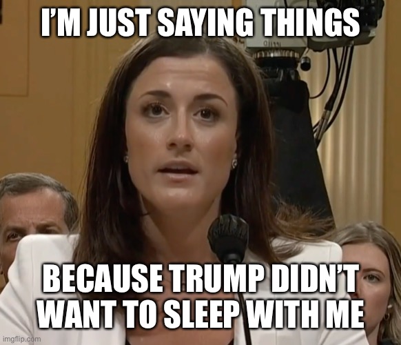 Cassidy Hutchinson | I’M JUST SAYING THINGS; BECAUSE TRUMP DIDN’T WANT TO SLEEP WITH ME | image tagged in cassidy hutchinson | made w/ Imgflip meme maker