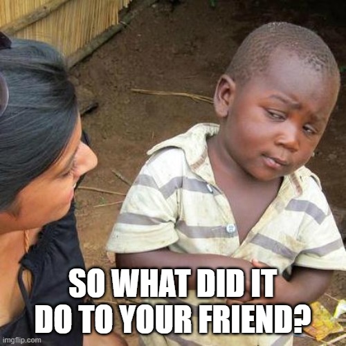 Third World Skeptical Kid Meme | SO WHAT DID IT DO TO YOUR FRIEND? | image tagged in memes,third world skeptical kid | made w/ Imgflip meme maker