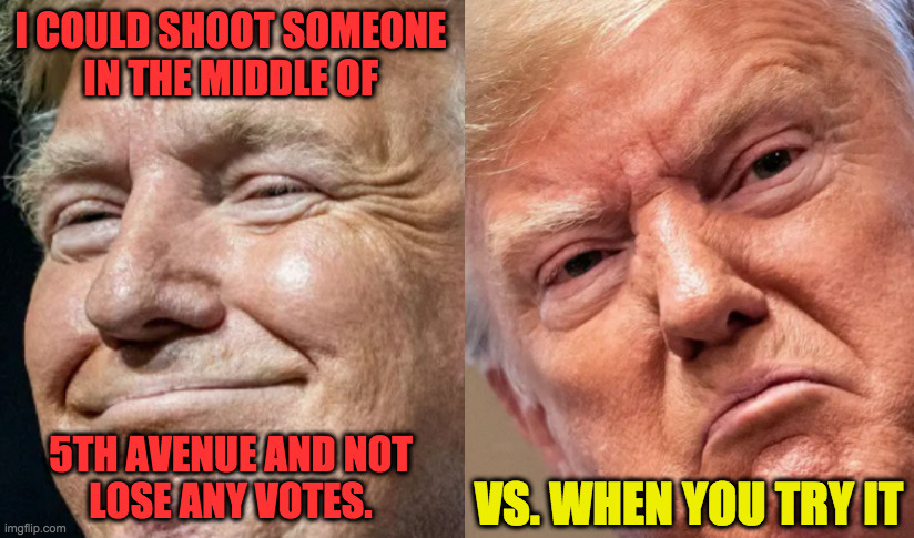 Two babies. | I COULD SHOOT SOMEONE
IN THE MIDDLE OF
 
 
 
 
 
 
 
5TH AVENUE AND NOT
LOSE ANY VOTES. VS. WHEN YOU TRY IT | image tagged in happy trump sad trump,memes,two babies | made w/ Imgflip meme maker