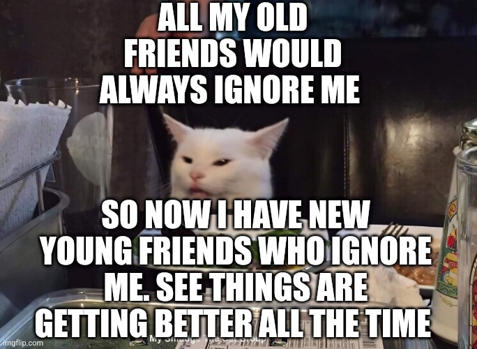 ALL MY OLD FRIENDS WOULD ALWAYS IGNORE ME; SO NOW I HAVE NEW YOUNG FRIENDS WHO IGNORE ME. SEE THINGS ARE GETTING BETTER ALL THE TIME | image tagged in smudge the cat | made w/ Imgflip meme maker