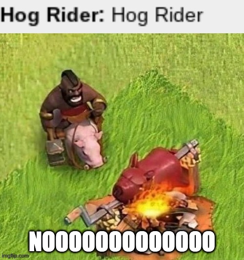 Hog Rider Gaming | NOOOOOOOOOOOOO | image tagged in hog rider gaming | made w/ Imgflip meme maker
