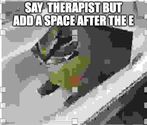 Very low quality floppa | SAY  THERAPIST BUT ADD A SPACE AFTER THE E | image tagged in very low quality floppa | made w/ Imgflip meme maker