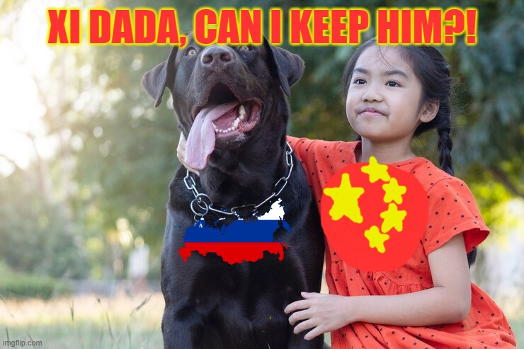 china's new pet | XI DADA, CAN I KEEP HIM?! | made w/ Imgflip meme maker