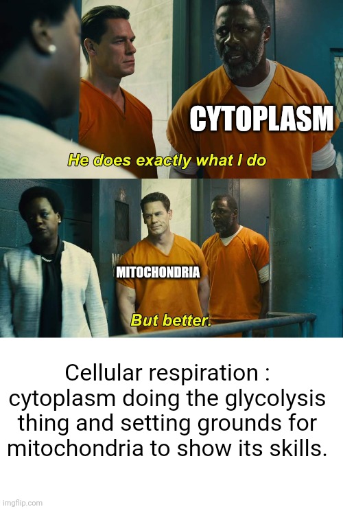 CYTOPLASM; MITOCHONDRIA; Cellular respiration : cytoplasm doing the glycolysis thing and setting grounds for mitochondria to show its skills. | image tagged in he does exactly what i do but better | made w/ Imgflip meme maker