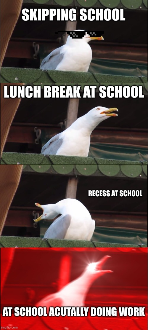 Bruh - 2.0 | SKIPPING SCHOOL; LUNCH BREAK AT SCHOOL; RECESS AT SCHOOL; AT SCHOOL ACUTALLY DOING WORK | image tagged in memes,inhaling seagull | made w/ Imgflip meme maker