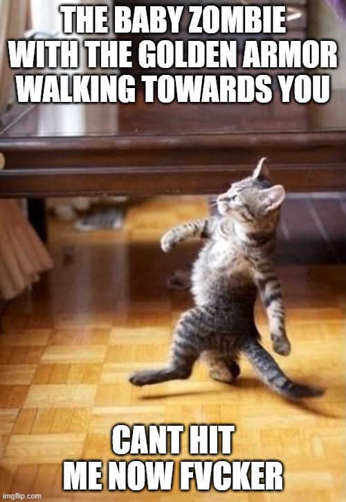 Cool Cat Stroll | THE BABY ZOMBIE WITH THE GOLDEN ARMOR WALKING TOWARDS YOU; CANT HIT ME NOW FVCKER | image tagged in memes,cool cat stroll | made w/ Imgflip meme maker