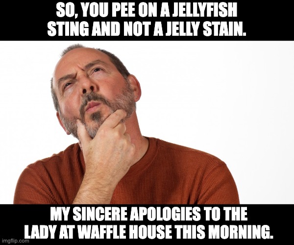 Jelly | SO, YOU PEE ON A JELLYFISH STING AND NOT A JELLY STAIN. MY SINCERE APOLOGIES TO THE LADY AT WAFFLE HOUSE THIS MORNING. | image tagged in hmmm | made w/ Imgflip meme maker