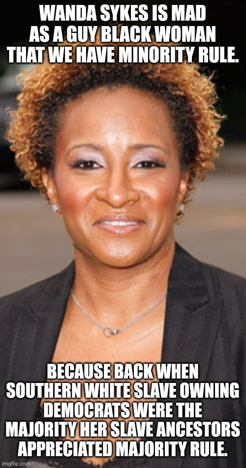 Uneducated non funny people please stfu | WANDA SYKES IS MAD AS A GUY BLACK WOMAN THAT WE HAVE MINORITY RULE. BECAUSE BACK WHEN SOUTHERN WHITE SLAVE OWNING DEMOCRATS WERE THE MAJORITY HER SLAVE ANCESTORS APPRECIATED MAJORITY RULE. | image tagged in stupid liberals,dnc,democrats,america,stupid people,moron | made w/ Imgflip meme maker