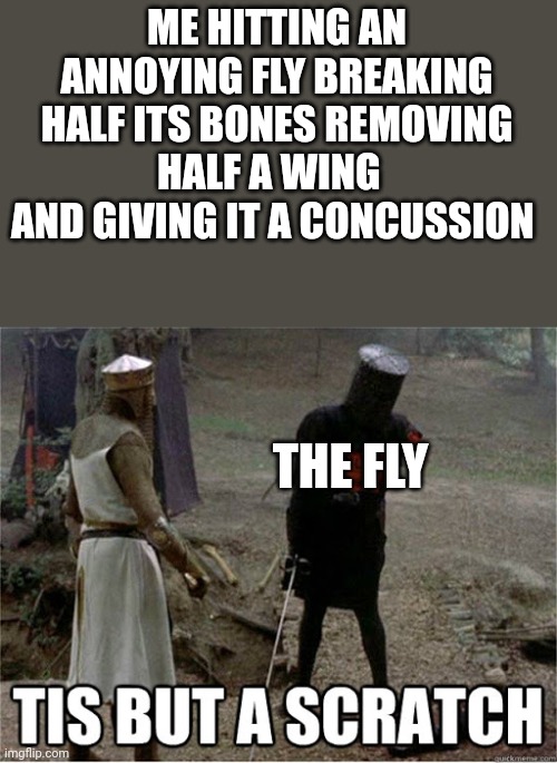 Flys | ME HITTING AN ANNOYING FLY BREAKING HALF ITS BONES REMOVING HALF A WING   AND GIVING IT A CONCUSSION; THE FLY | image tagged in tis but a scratch | made w/ Imgflip meme maker