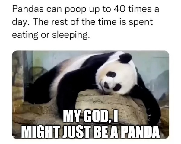 MY GOD, I MIGHT JUST BE A PANDA | image tagged in poo | made w/ Imgflip meme maker