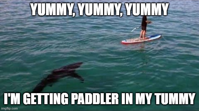 Shark Paddler | YUMMY, YUMMY, YUMMY; I'M GETTING PADDLER IN MY TUMMY | image tagged in shark | made w/ Imgflip meme maker