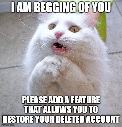 Begging Cat | I AM BEGGING OF YOU; PLEASE ADD A FEATURE THAT ALLOWS YOU TO RESTORE YOUR DELETED ACCOUNT | image tagged in begging cat,deleted accounts,please | made w/ Imgflip meme maker