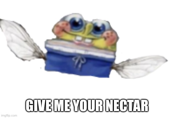 Spongefly | GIVE ME YOUR NECTAR | image tagged in spongefly | made w/ Imgflip meme maker