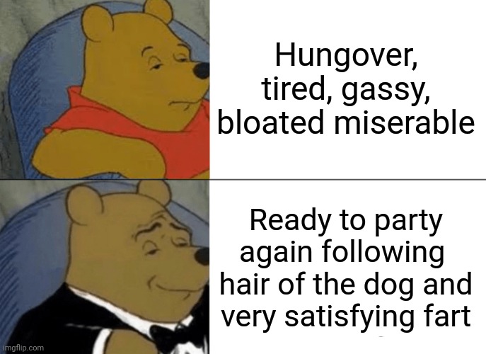 Tuxedo Winnie The Pooh Meme | Hungover, tired, gassy, bloated miserable; Ready to party again following  hair of the dog and very satisfying fart | image tagged in memes,tuxedo winnie the pooh | made w/ Imgflip meme maker