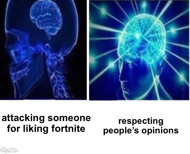 small brain vs brain | respecting people’s opinions; attacking someone for liking fortnite | image tagged in small brain vs brain,memes,funny,fortnite | made w/ Imgflip meme maker