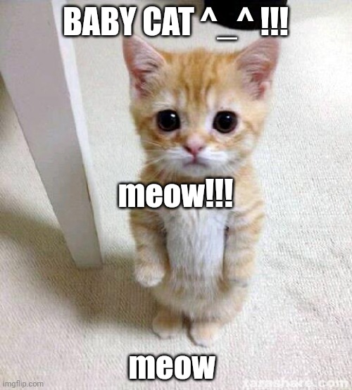 Cute Cat | BABY CAT ^_^ !!! meow!!! meow | image tagged in memes,cute cat | made w/ Imgflip meme maker