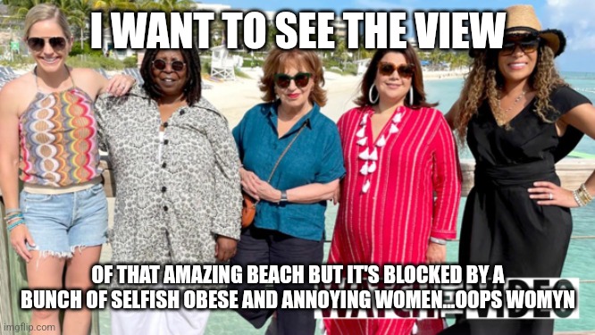 When the view is blocked by The View |  I WANT TO SEE THE VIEW; OF THAT AMAZING BEACH BUT IT'S BLOCKED BY A BUNCH OF SELFISH OBESE AND ANNOYING WOMEN...OOPS WOMYN | image tagged in the view,obesity,annoying,liberal,fat,go away | made w/ Imgflip meme maker