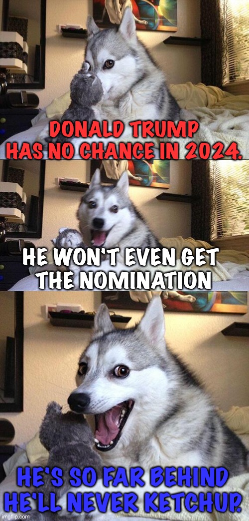 Bad Pun Dog | DONALD TRUMP HAS NO CHANCE IN 2024. HE WON'T EVEN GET 
THE NOMINATION; HE'S SO FAR BEHIND HE'LL NEVER KETCHUP. | image tagged in memes,bad pun dog | made w/ Imgflip meme maker