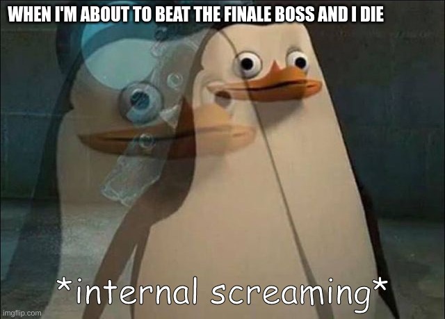 : ( |  WHEN I'M ABOUT TO BEAT THE FINALE BOSS AND I DIE | image tagged in private internal screaming,gaming,gamers,funny memes,funny | made w/ Imgflip meme maker