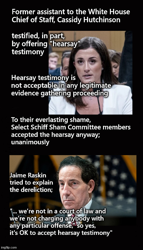 Jan 6 committee allows hearsay | image tagged in jan 6 committee | made w/ Imgflip meme maker