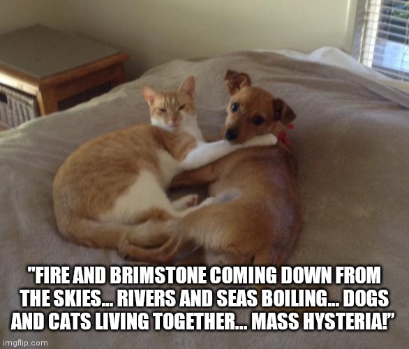 Cats and dogs living together | "FIRE AND BRIMSTONE COMING DOWN FROM THE SKIES… RIVERS AND SEAS BOILING… DOGS AND CATS LIVING TOGETHER... MASS HYSTERIA!” | image tagged in cats and dogs living together | made w/ Imgflip meme maker