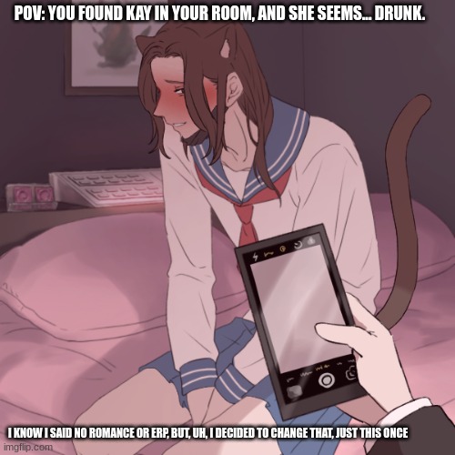 Rules in tags | Any gender, but female ocs preferred. | POV: YOU FOUND KAY IN YOUR ROOM, AND SHE SEEMS... DRUNK. I KNOW I SAID NO ROMANCE OR ERP, BUT, UH, I DECIDED TO CHANGE THAT, JUST THIS ONCE | image tagged in erp in memechat,no op ocs | made w/ Imgflip meme maker