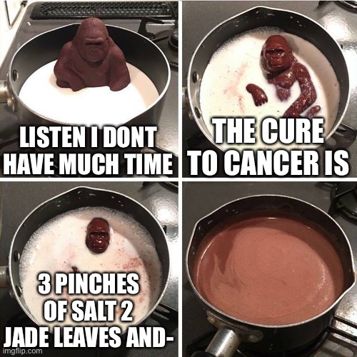 Kankr | LISTEN I DONT HAVE MUCH TIME; THE CURE TO CANCER IS; 3 PINCHES OF SALT 2 JADE LEAVES AND- | image tagged in chocolate gorilla,chocolate,cancer | made w/ Imgflip meme maker
