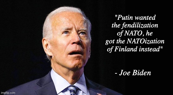Words of wisdom | "Putin wanted the fendilization of NATO, he got the NATOization of Finland instead"; - Joe Biden | image tagged in joe biden,biden | made w/ Imgflip meme maker