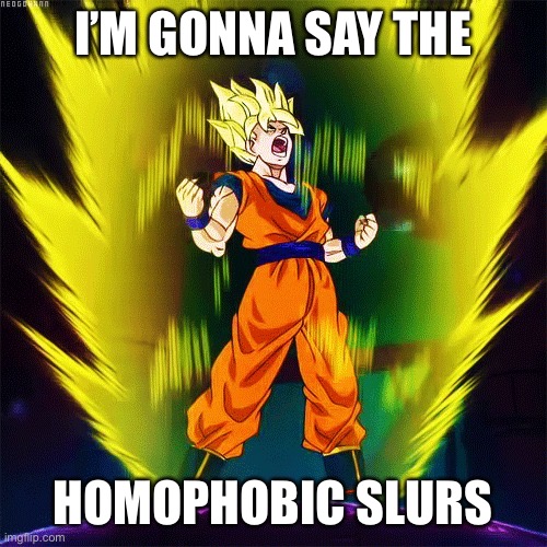 Goku Super Saiyan | I’M GONNA SAY THE; HOMOPHOBIC SLURS | image tagged in goku super saiyan | made w/ Imgflip meme maker