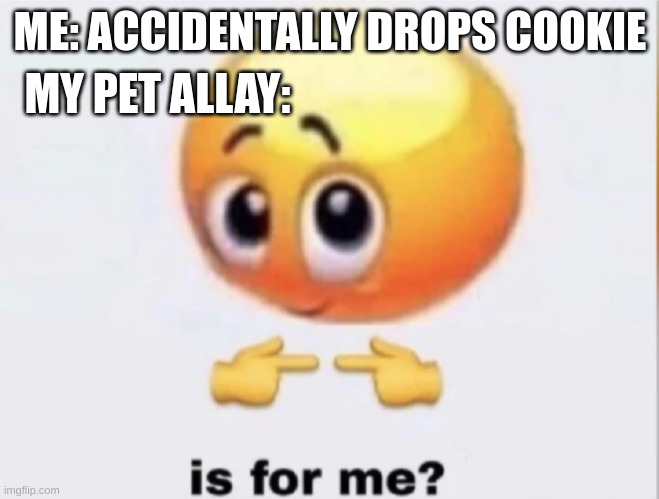 cookie | MY PET ALLAY:; ME: ACCIDENTALLY DROPS COOKIE | image tagged in is for me | made w/ Imgflip meme maker