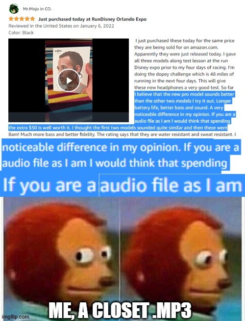 Songs reviewing headphones, that's meta | image tagged in audio file | made w/ Imgflip meme maker