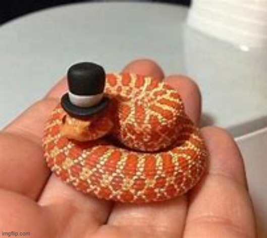 Snek with top hat for your soul | made w/ Imgflip meme maker