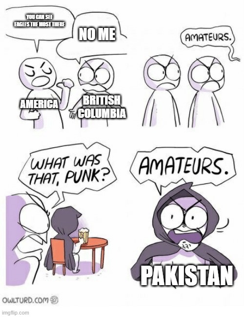 Everyday i see Eagles soaring above our roof in Pakistan. |  YOU CAN SEE EAGLES THE MOST THERE; NO ME; AMERICA; BRITISH COLUMBIA; PAKISTAN | image tagged in amateurs,eagles,pakistan | made w/ Imgflip meme maker